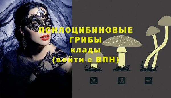 стаф Елабуга