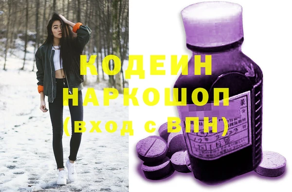кокс Ельня